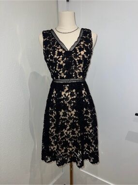 Black Lace V-Neck Mini Dress with Nude Underlay